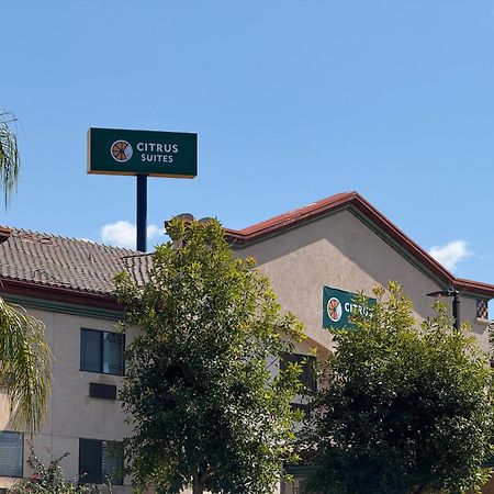 Citrus Suites Redlands Loma Linda Hotel Екстериор снимка