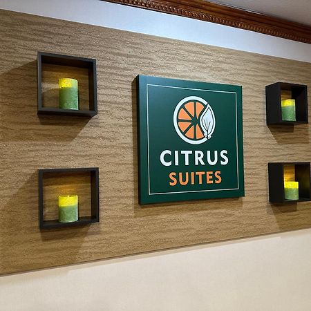 Citrus Suites Redlands Loma Linda Hotel Екстериор снимка